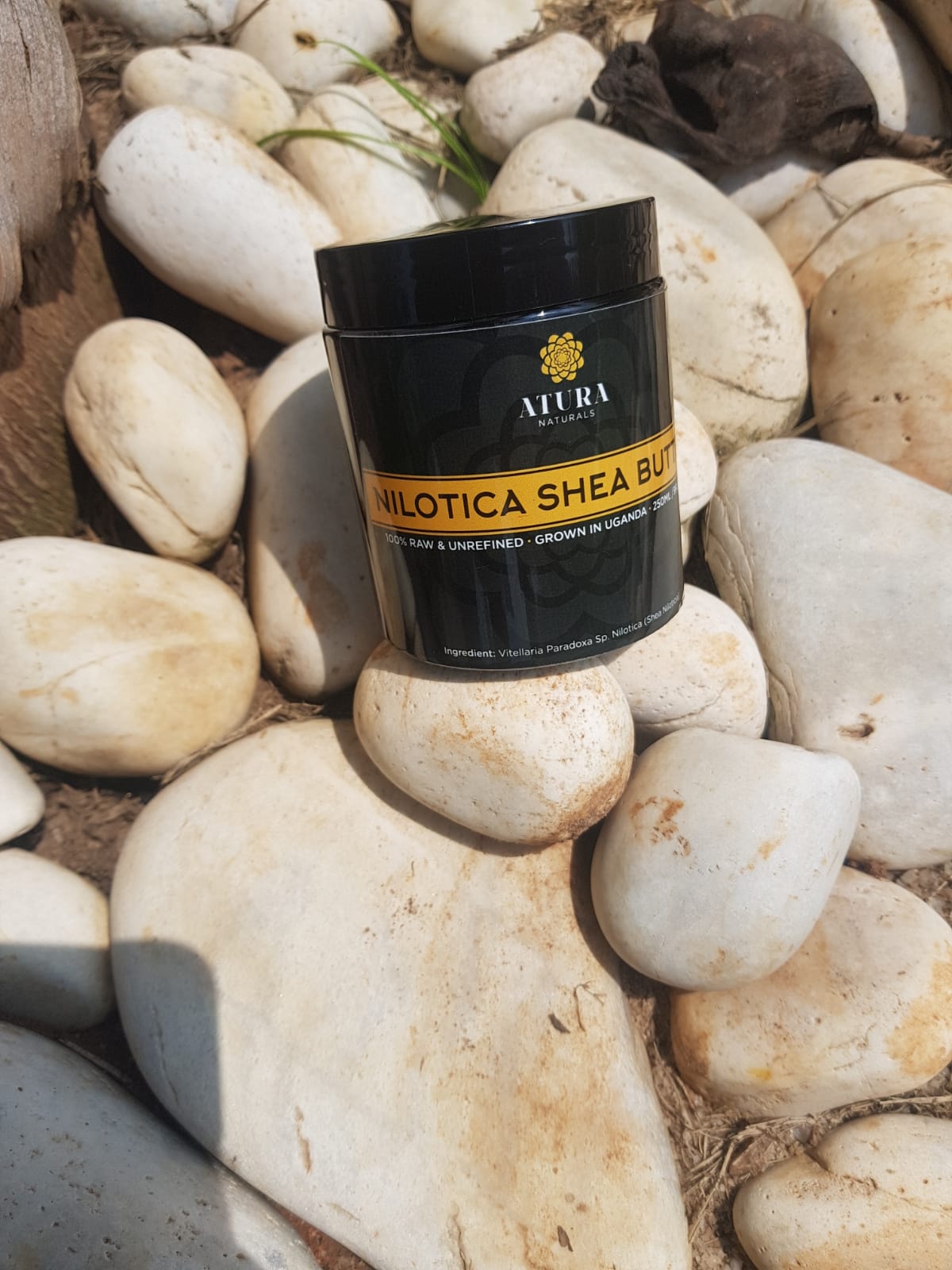 Nilotica Shea Butter