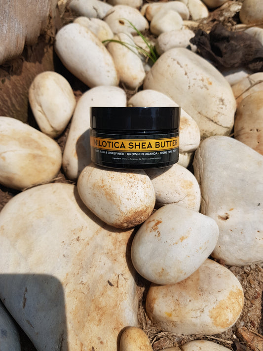 Nilotica Shea Butter